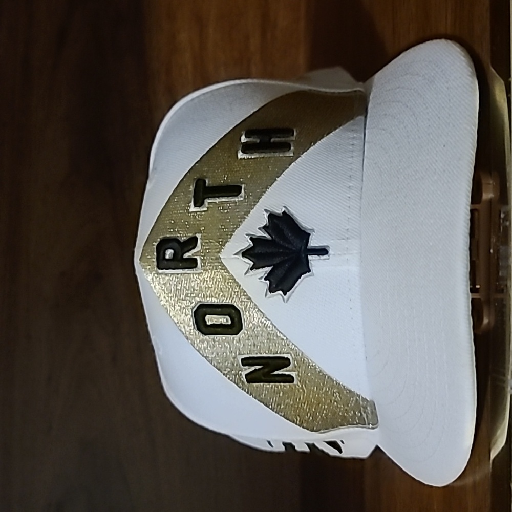 Toronto Raptors Hat 2017-18 New Era 9FIFTY OvO Snapback Hat